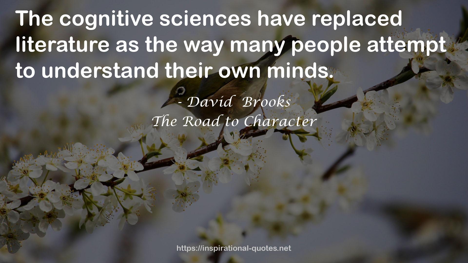 David  Brooks QUOTES