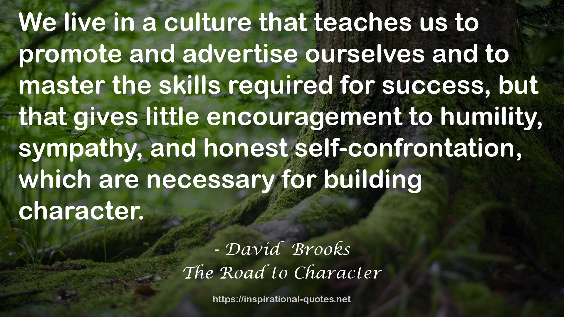 David  Brooks QUOTES