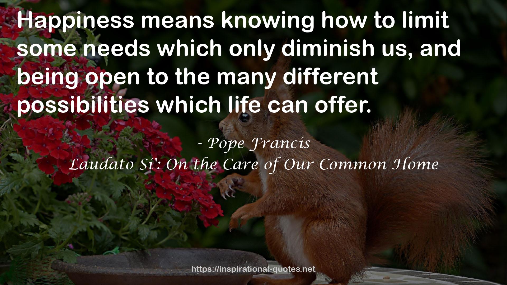 Laudato Si': On the Care of Our Common Home QUOTES