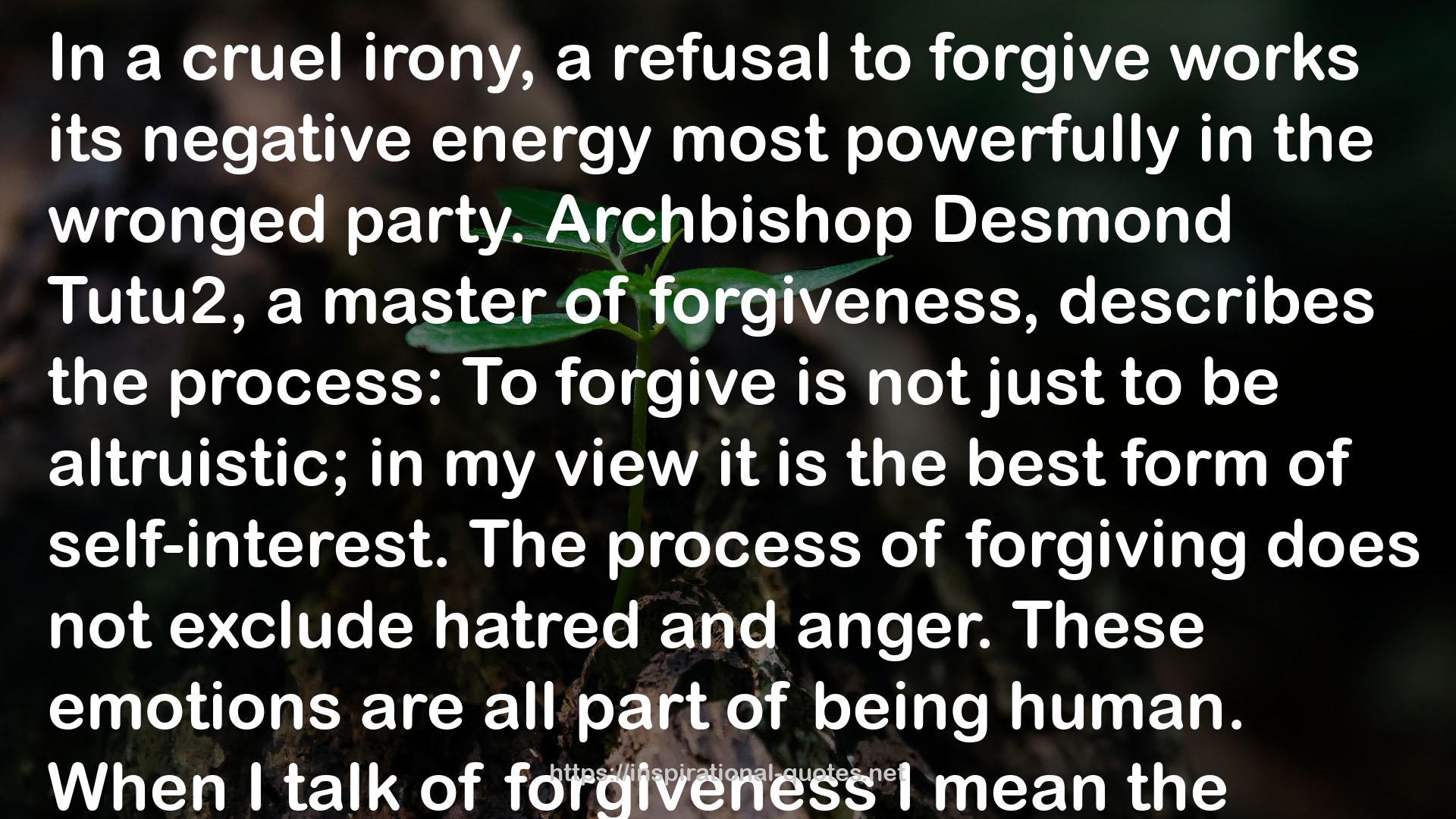 The Scandal of Forgiveness: Grace Put to the Test QUOTES