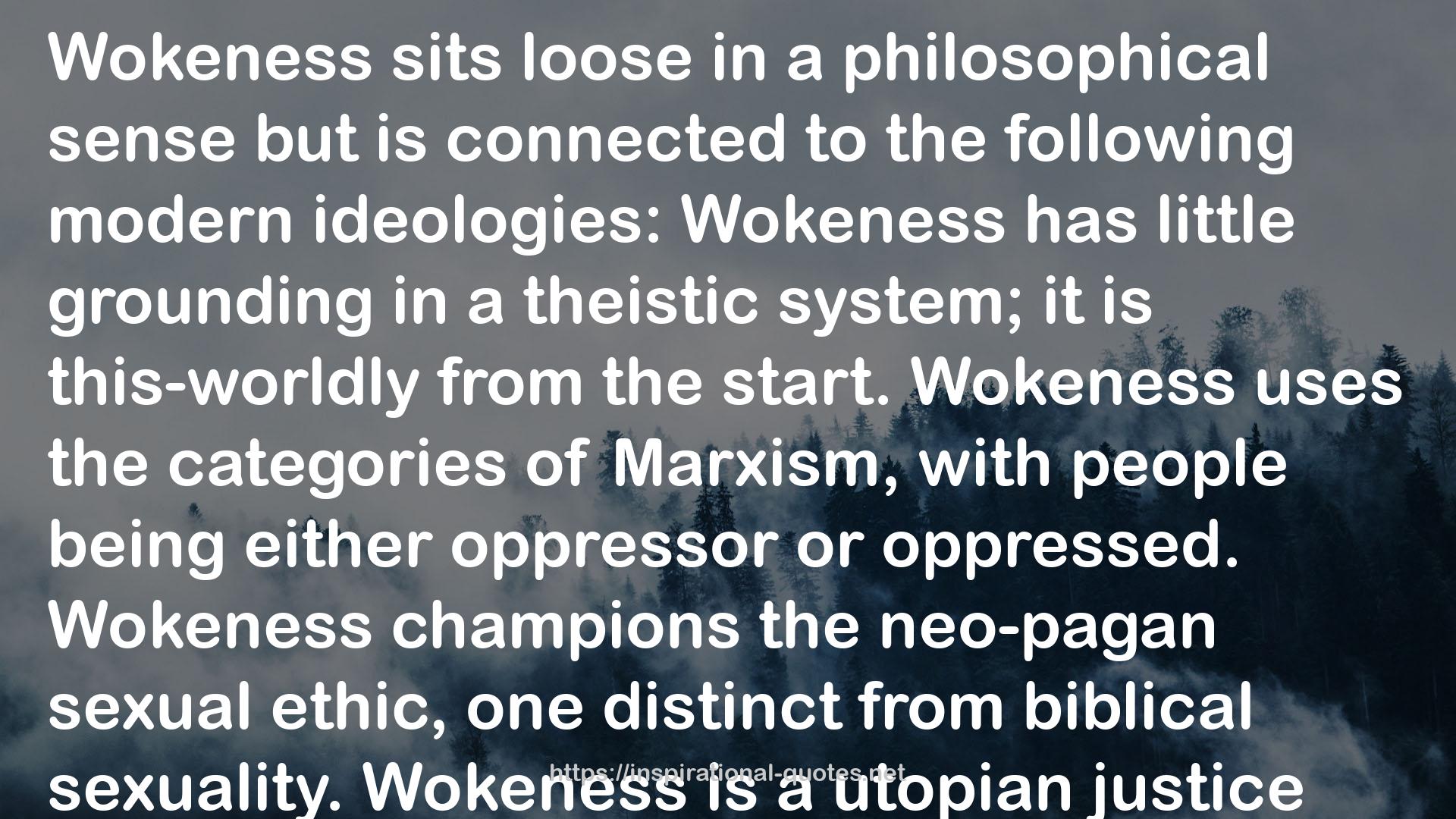 Christianity and Wokeness: How the Social Justice Movement is Hijacking the Gospel - and the Way to Stop It QUOTES