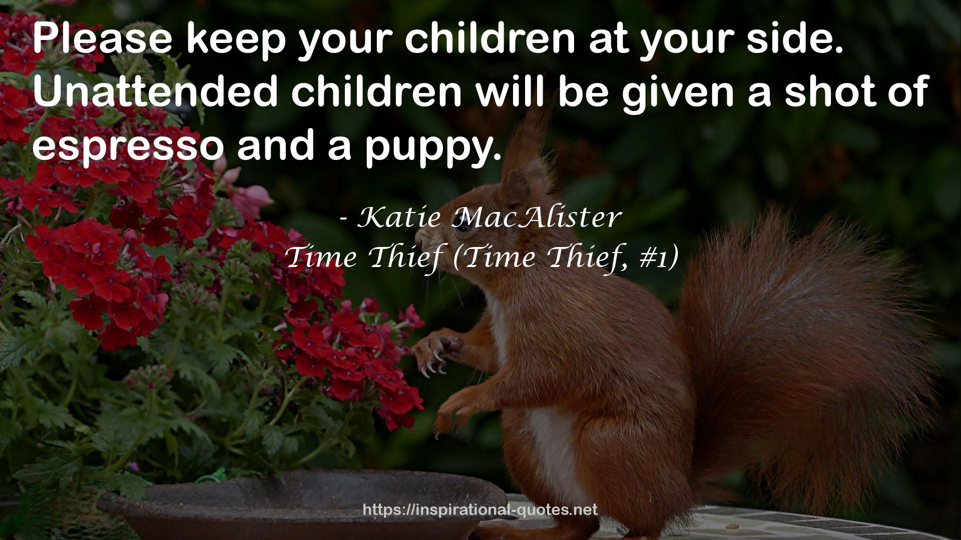 Time Thief (Time Thief, #1) QUOTES