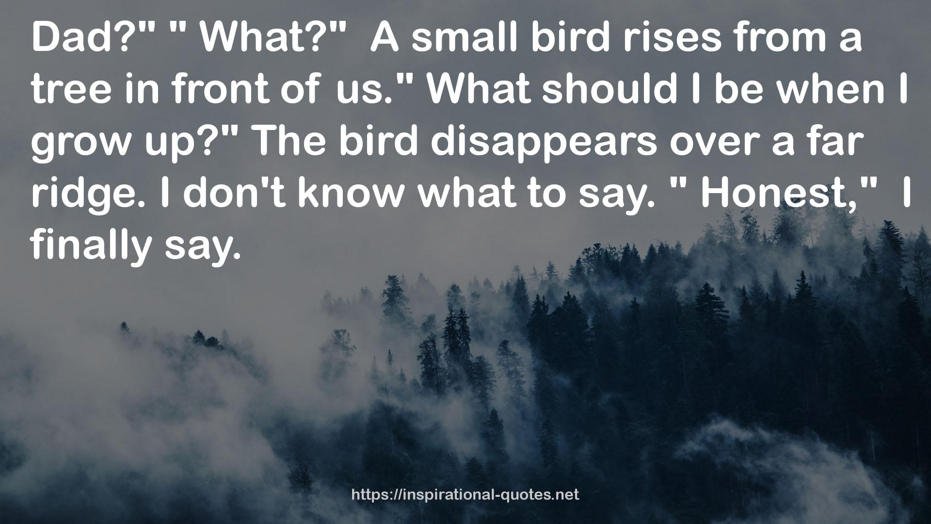 a small bird  QUOTES