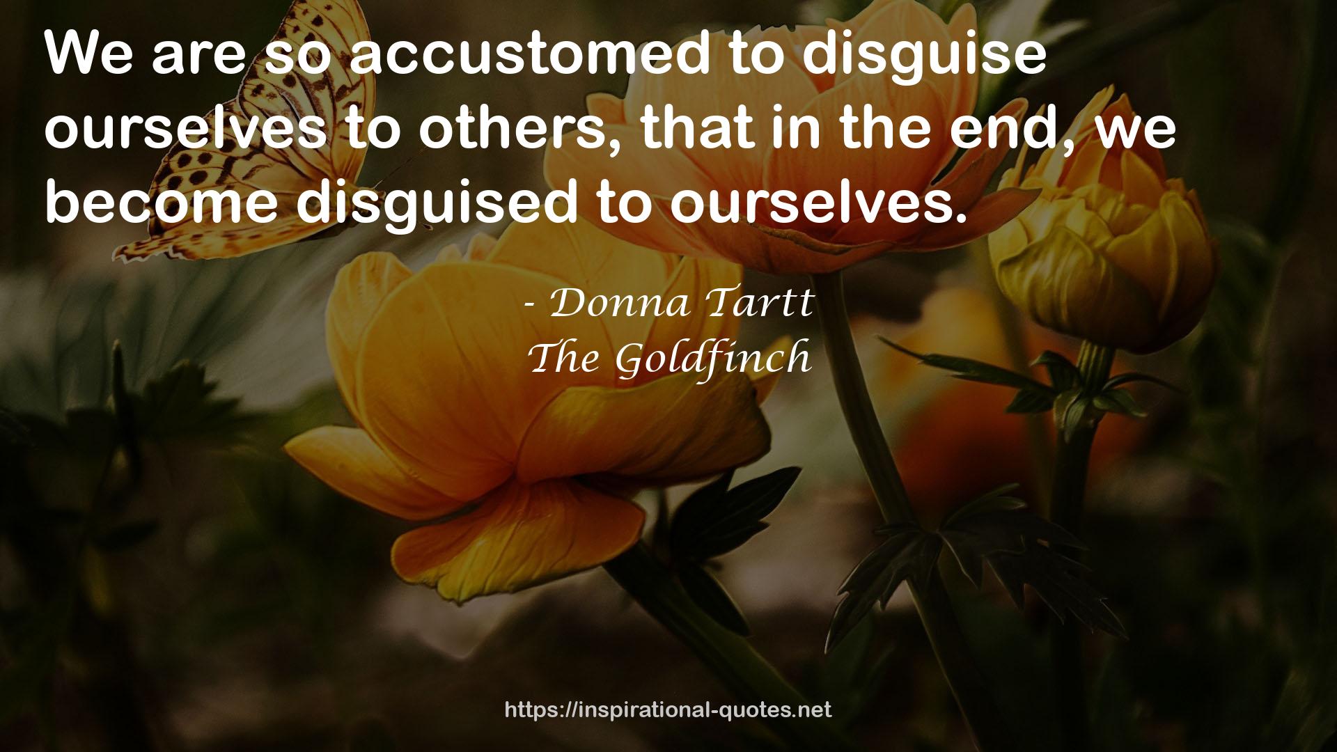 Donna Tartt QUOTES