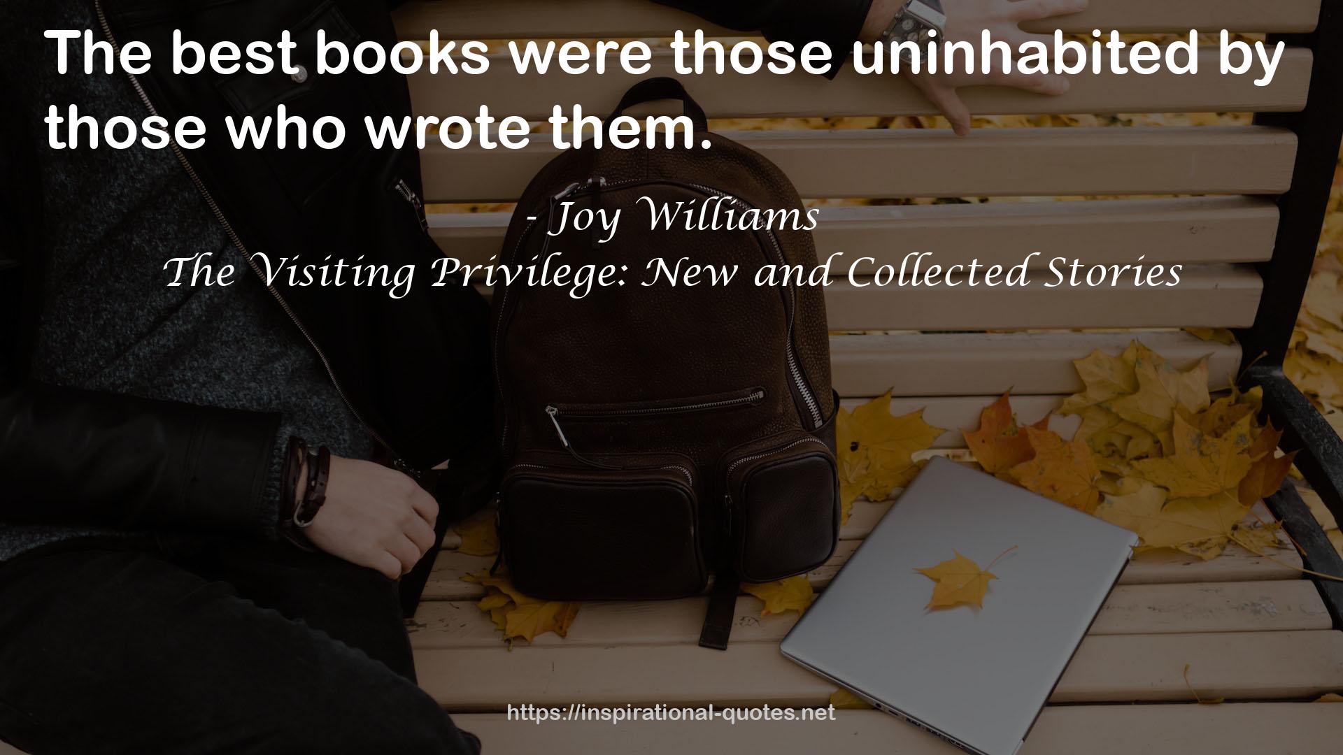 The Visiting Privilege: New and Collected Stories QUOTES