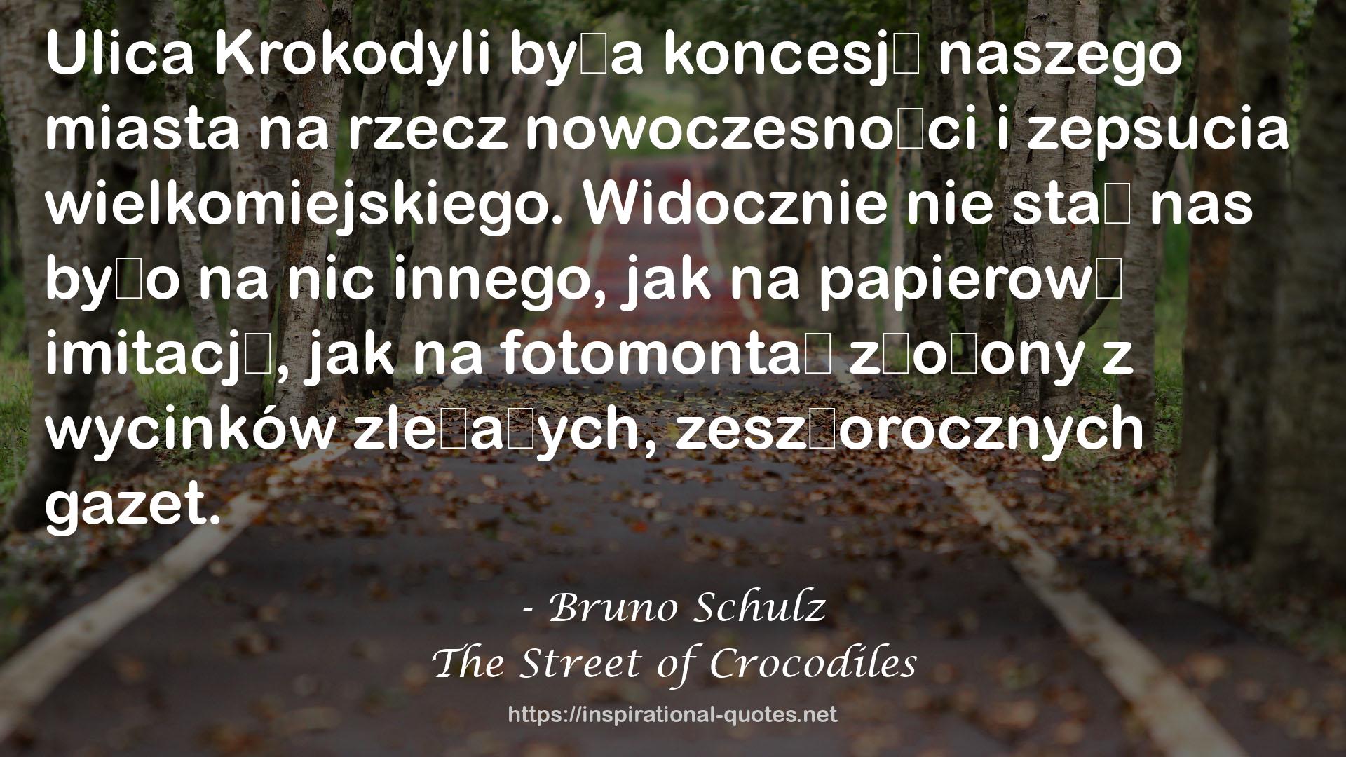 The Street of Crocodiles QUOTES