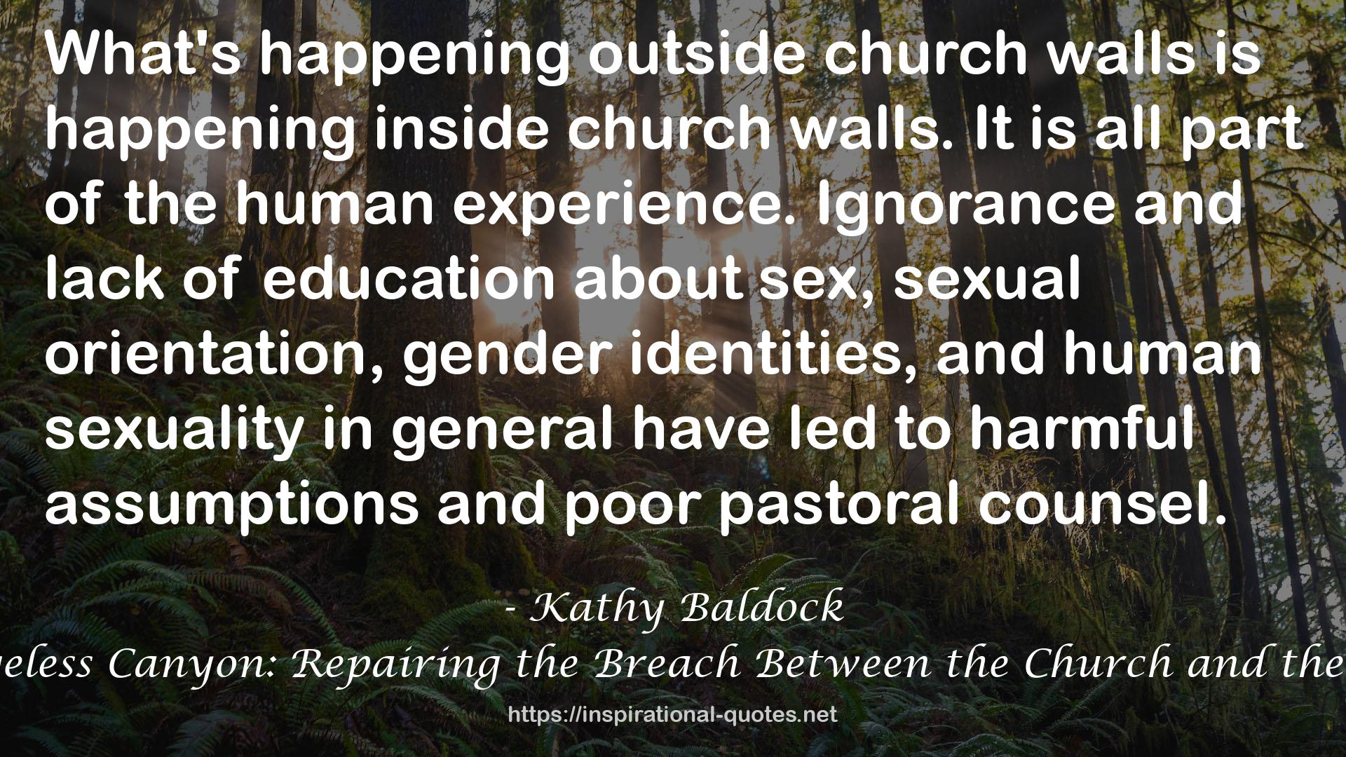 Walking the Bridgeless Canyon: Repairing the Breach Between the Church and the LGBT Community QUOTES