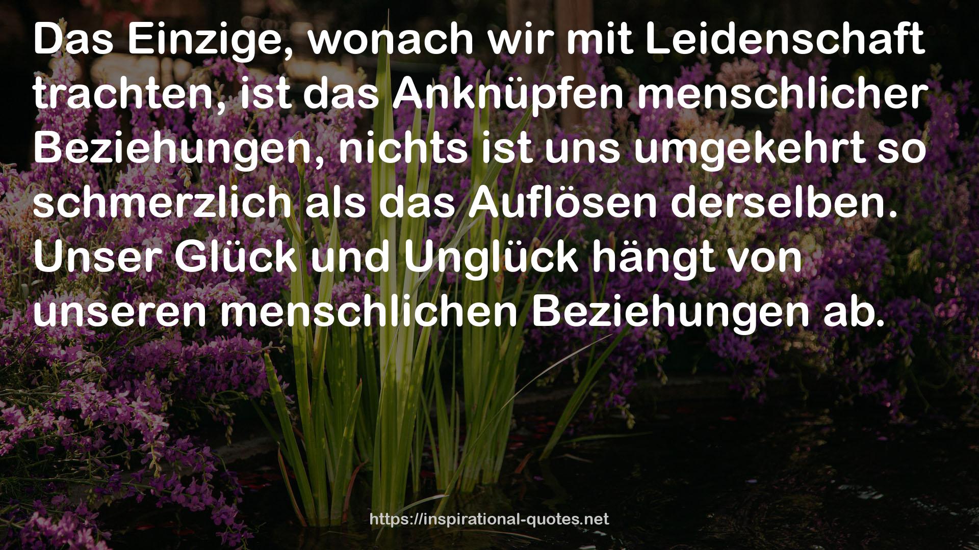 Unglück  QUOTES