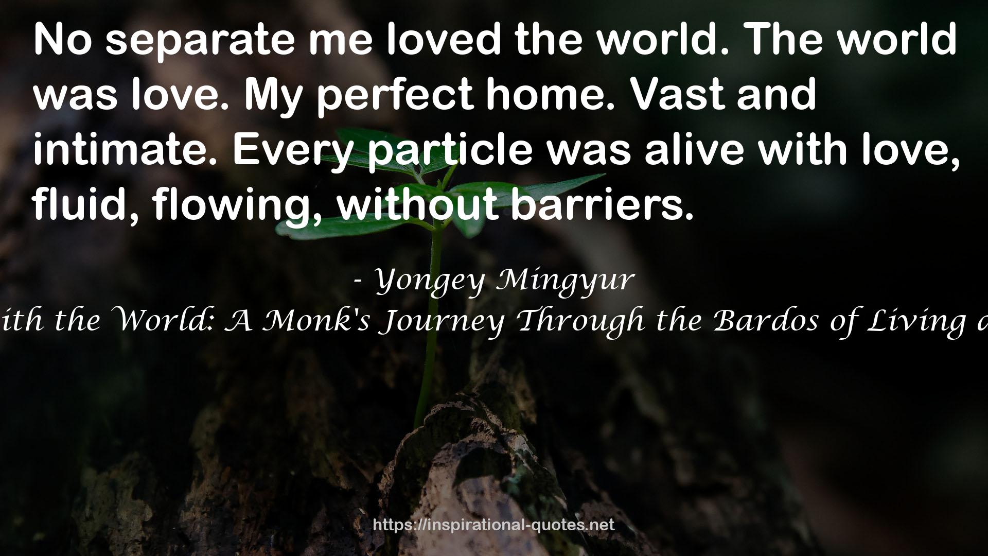 Yongey Mingyur QUOTES