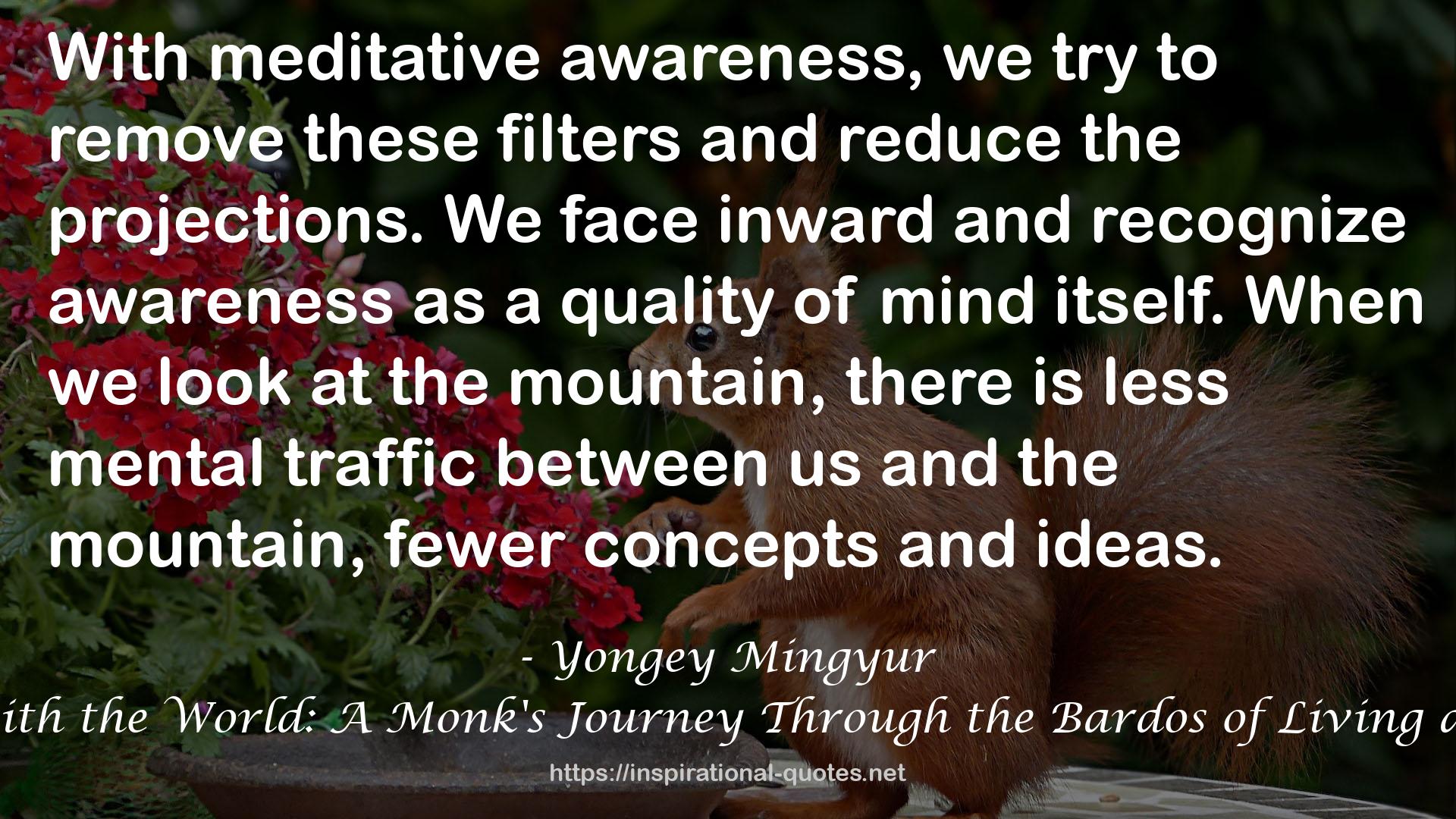 Yongey Mingyur QUOTES