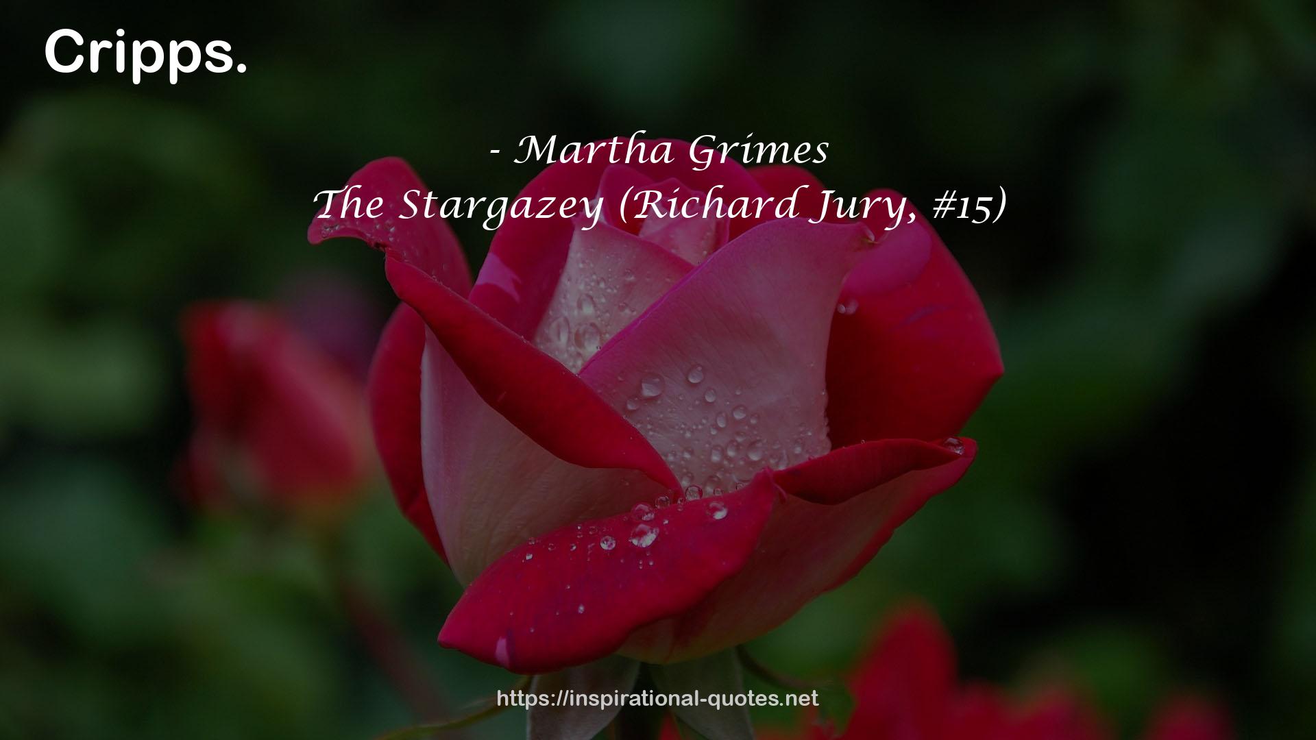 The Stargazey (Richard Jury, #15) QUOTES