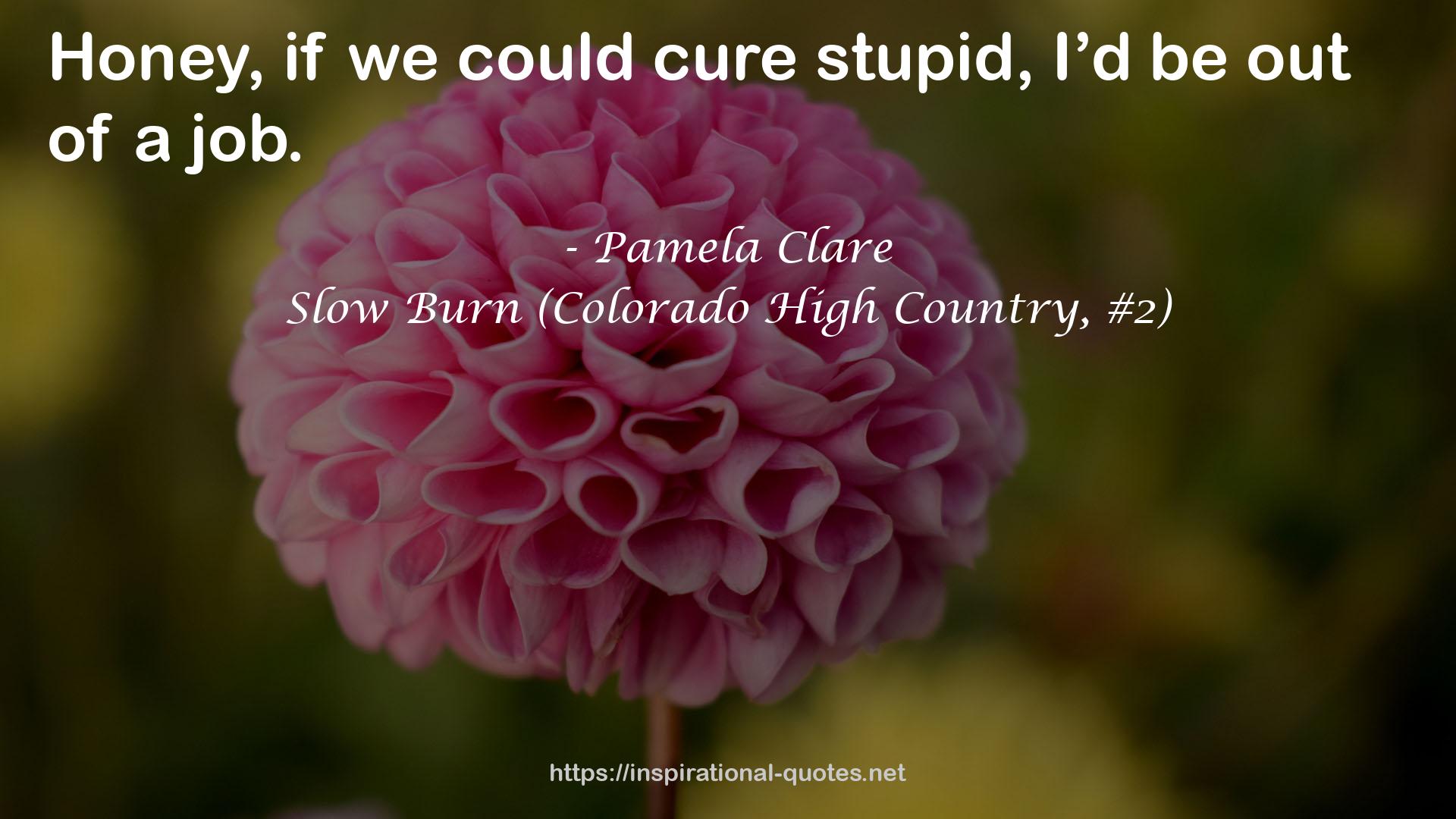 Slow Burn (Colorado High Country, #2) QUOTES