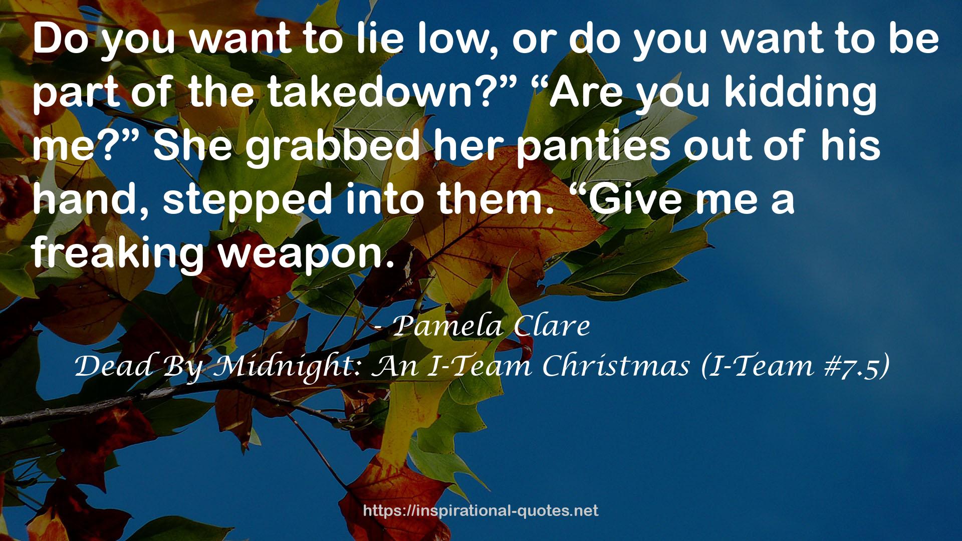 Dead By Midnight: An I-Team Christmas (I-Team #7.5) QUOTES