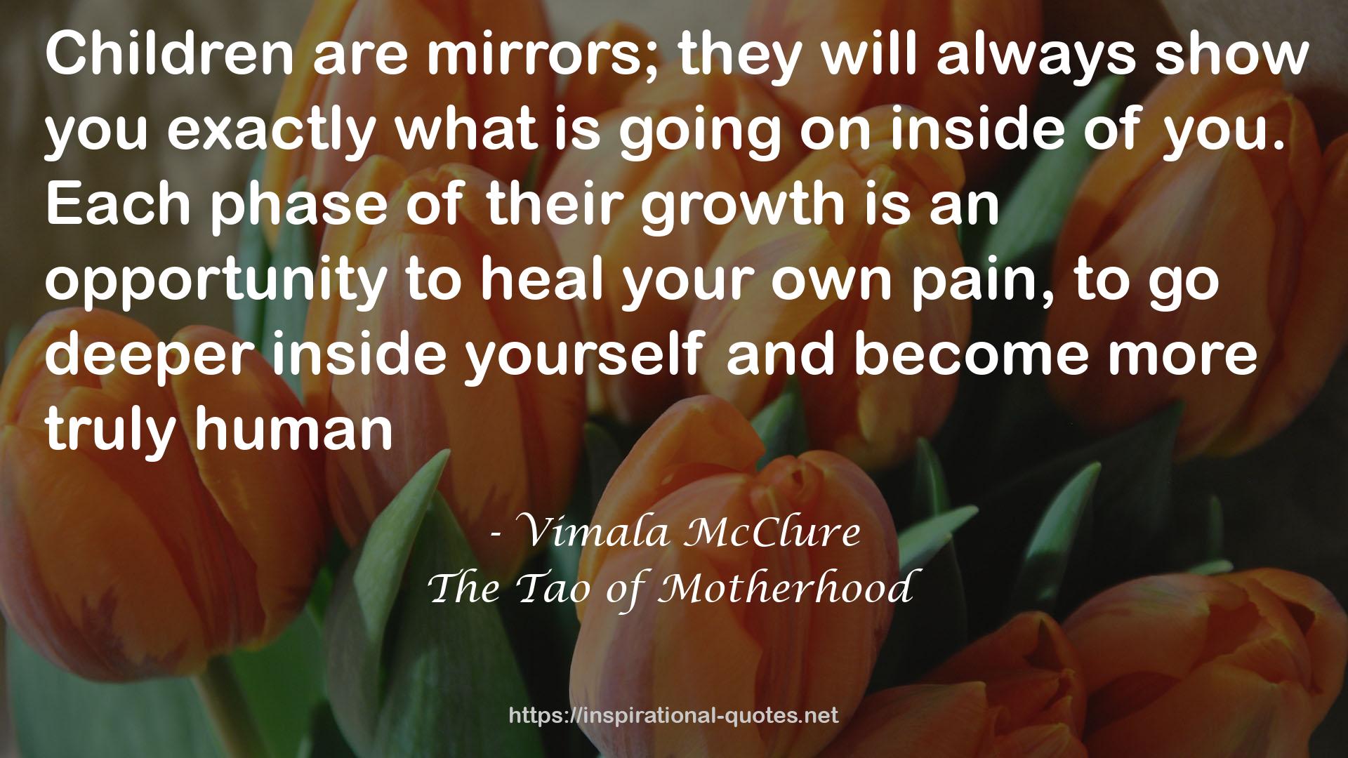 The Tao of Motherhood QUOTES
