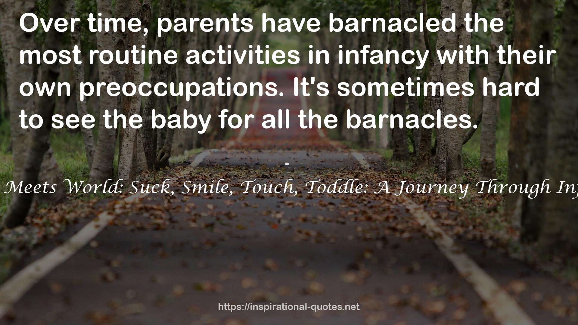 Baby Meets World: Suck, Smile, Touch, Toddle: A Journey Through Infancy QUOTES