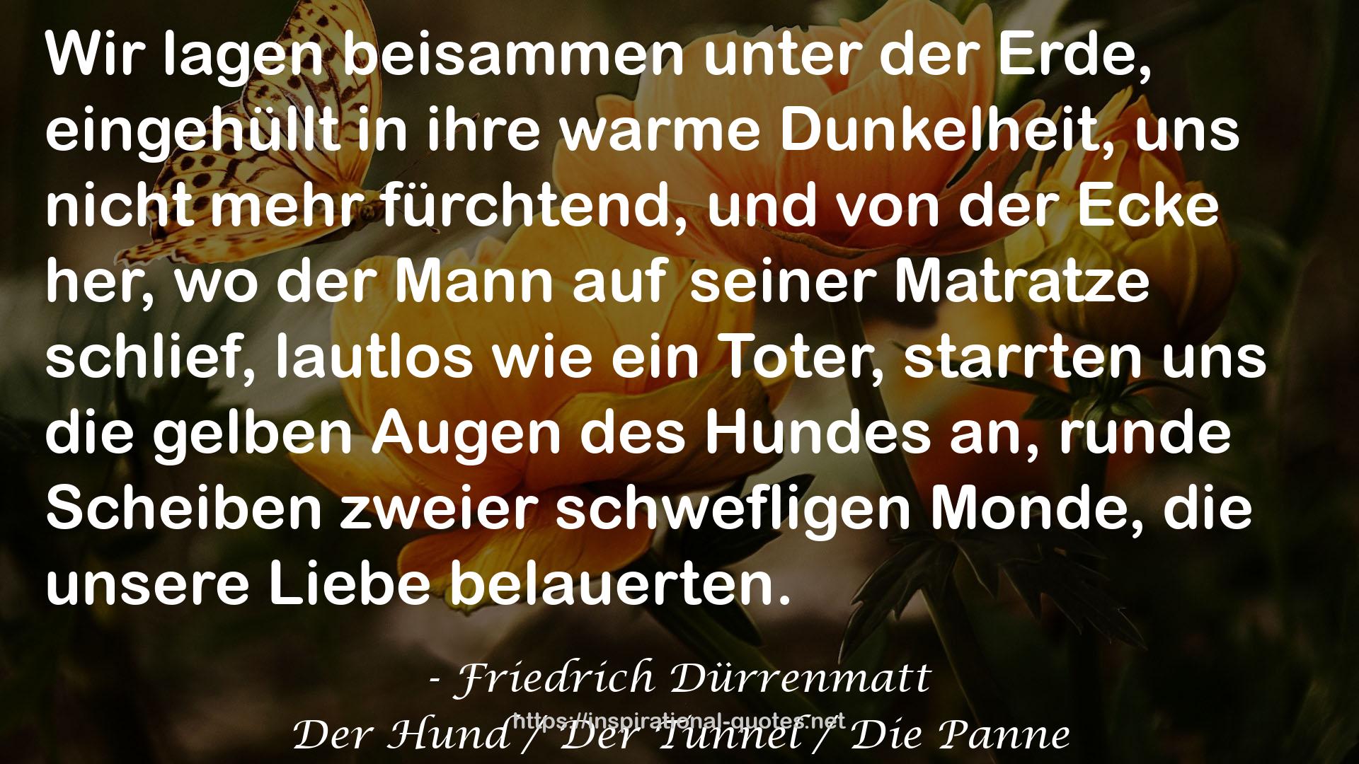 Der Hund / Der Tunnel / Die Panne QUOTES