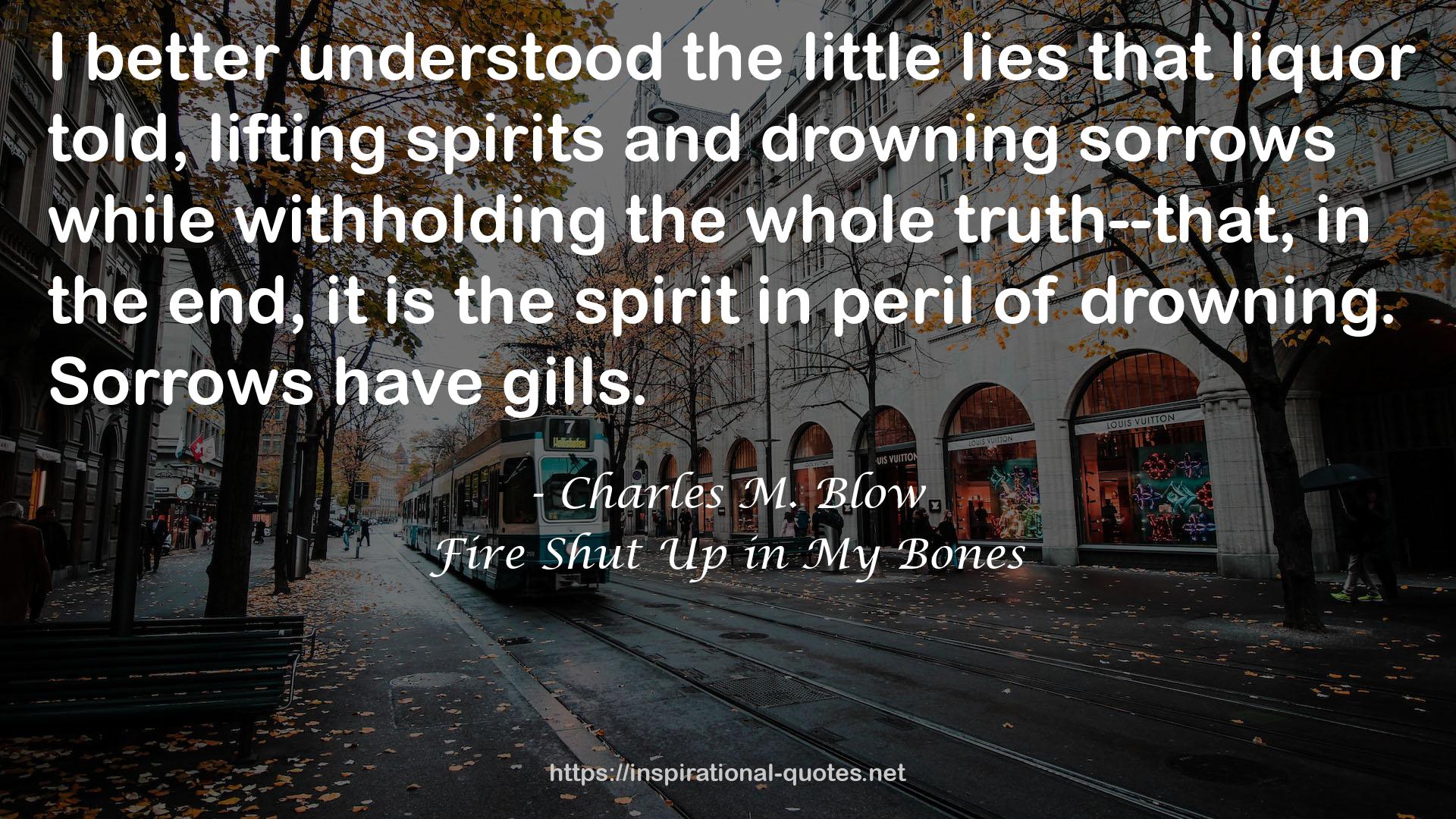 the little lies  QUOTES