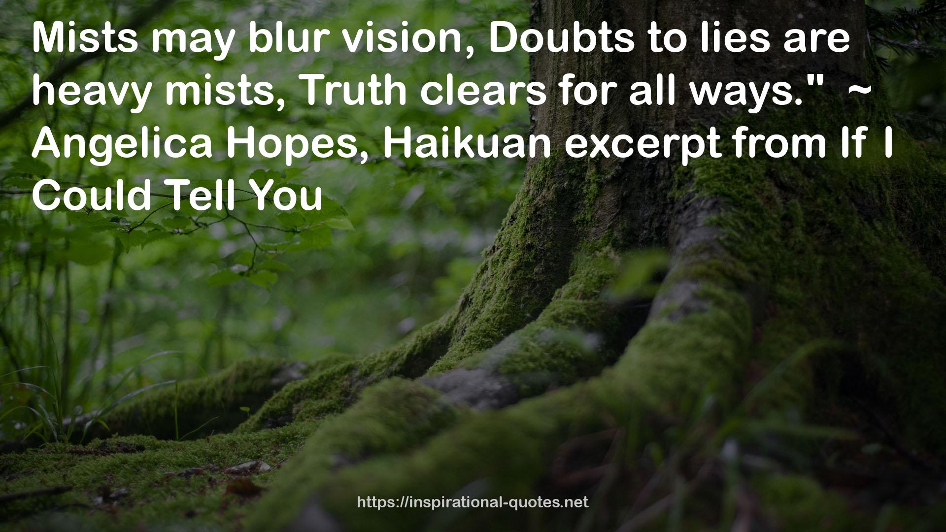 Haikuan  QUOTES