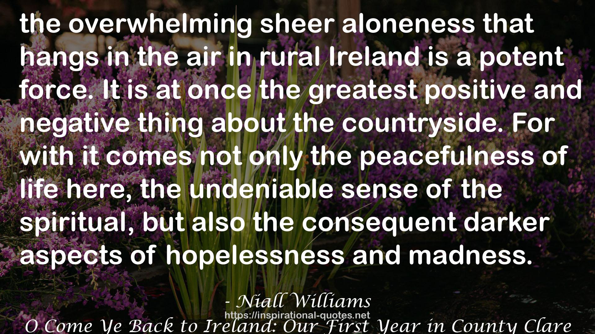 O Come Ye Back to Ireland: Our First Year in County Clare QUOTES