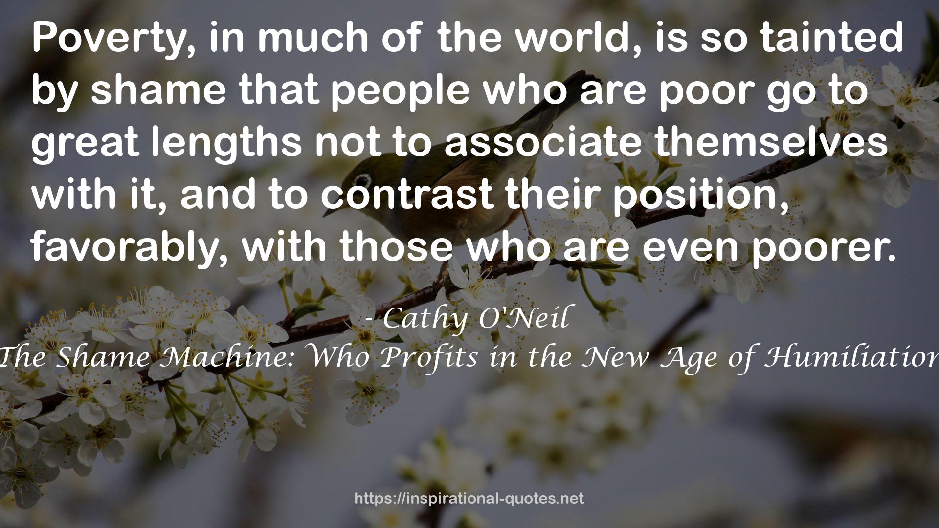 Cathy O'Neil QUOTES
