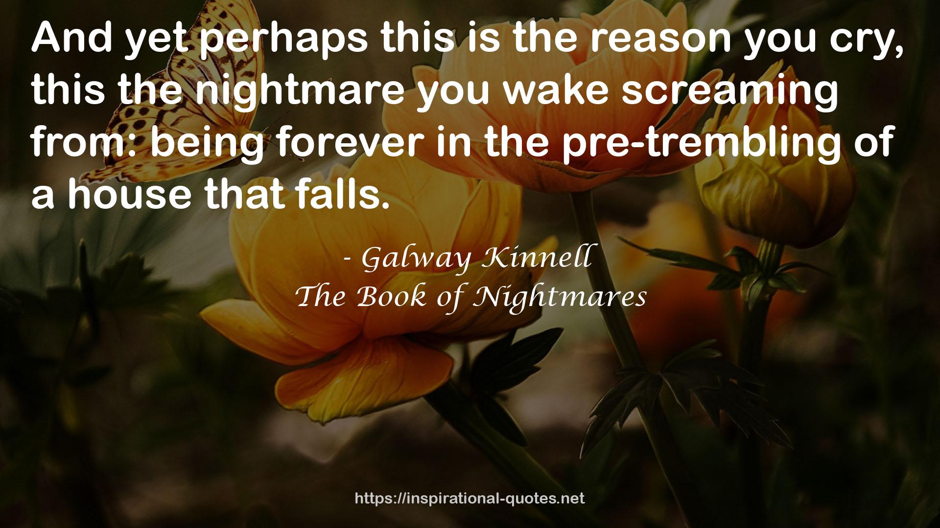 The Book of Nightmares QUOTES