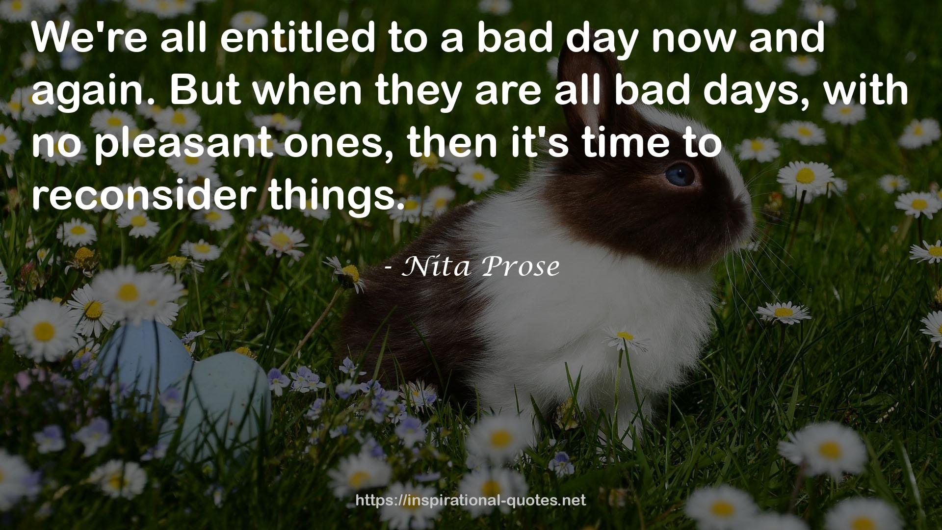 Nita Prose QUOTES