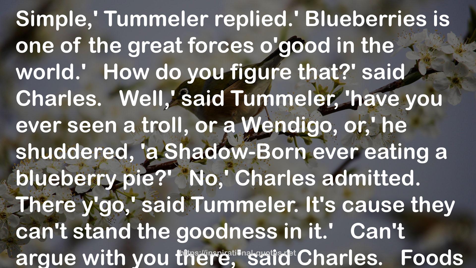 Tummeler  QUOTES