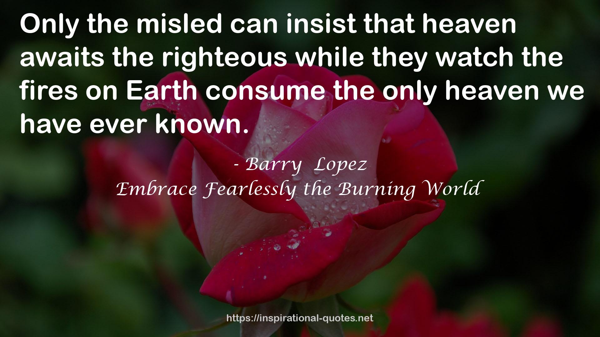 Embrace Fearlessly the Burning World QUOTES