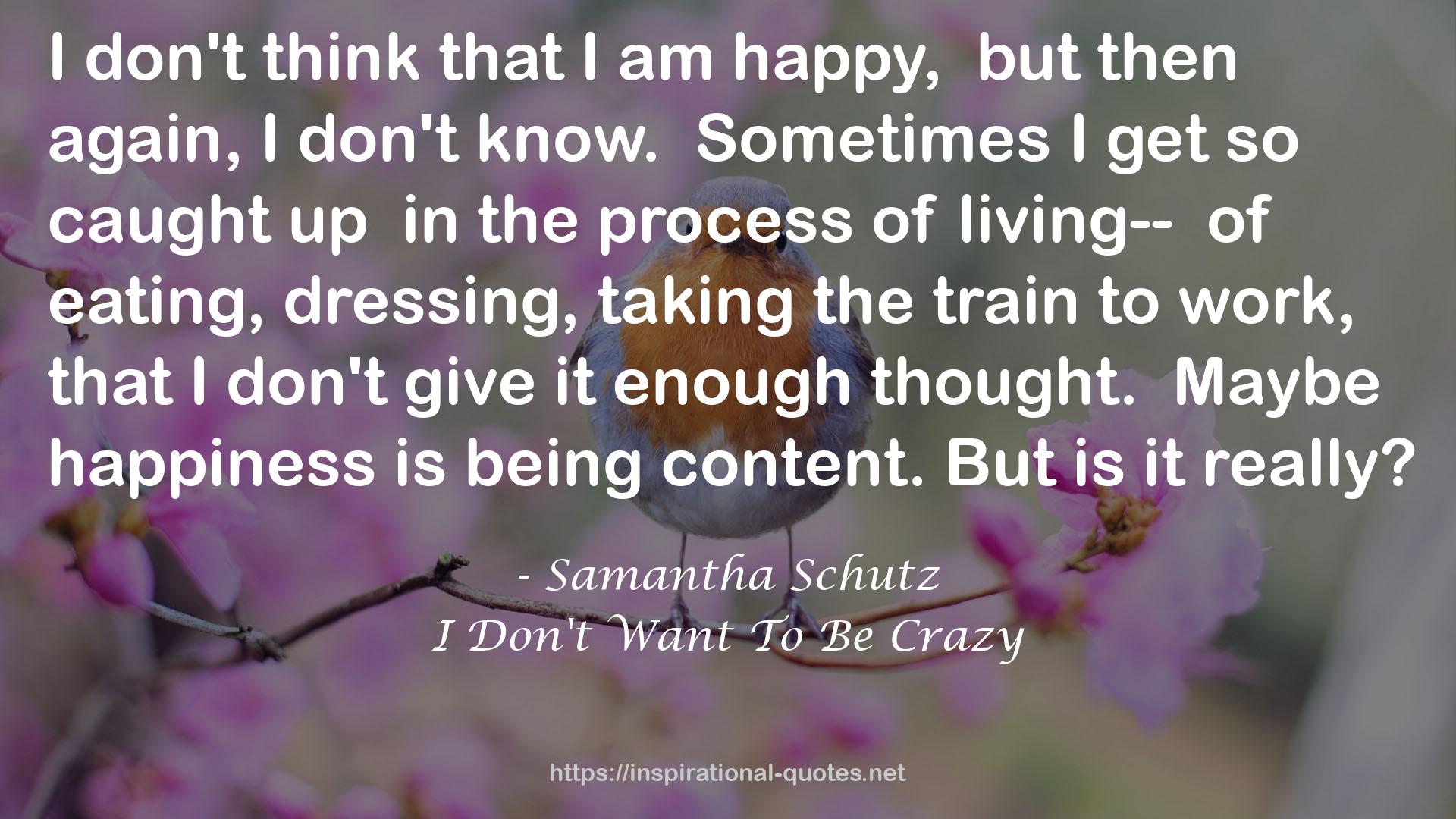 I Don't Want To Be Crazy QUOTES