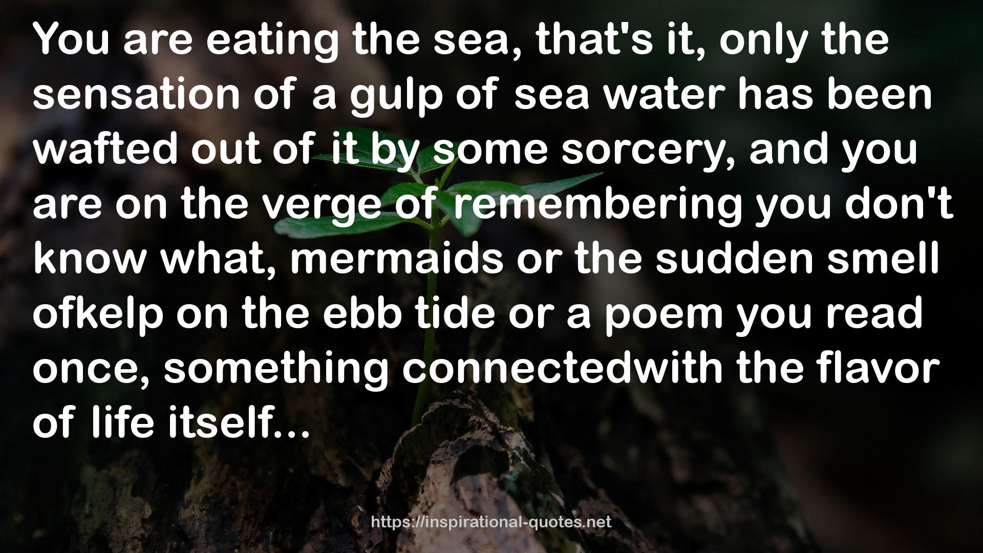 ofkelp  QUOTES