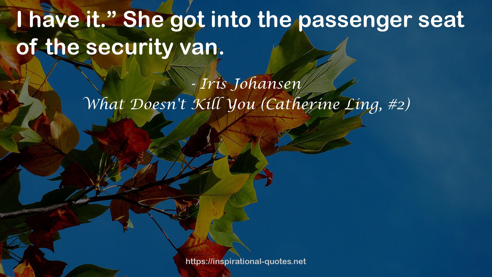 What Doesn't Kill You (Catherine Ling, #2) QUOTES