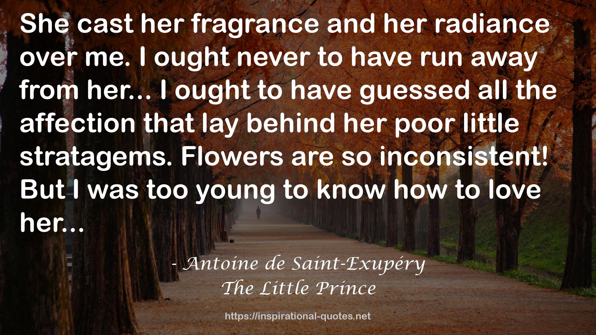 her fragrance  QUOTES