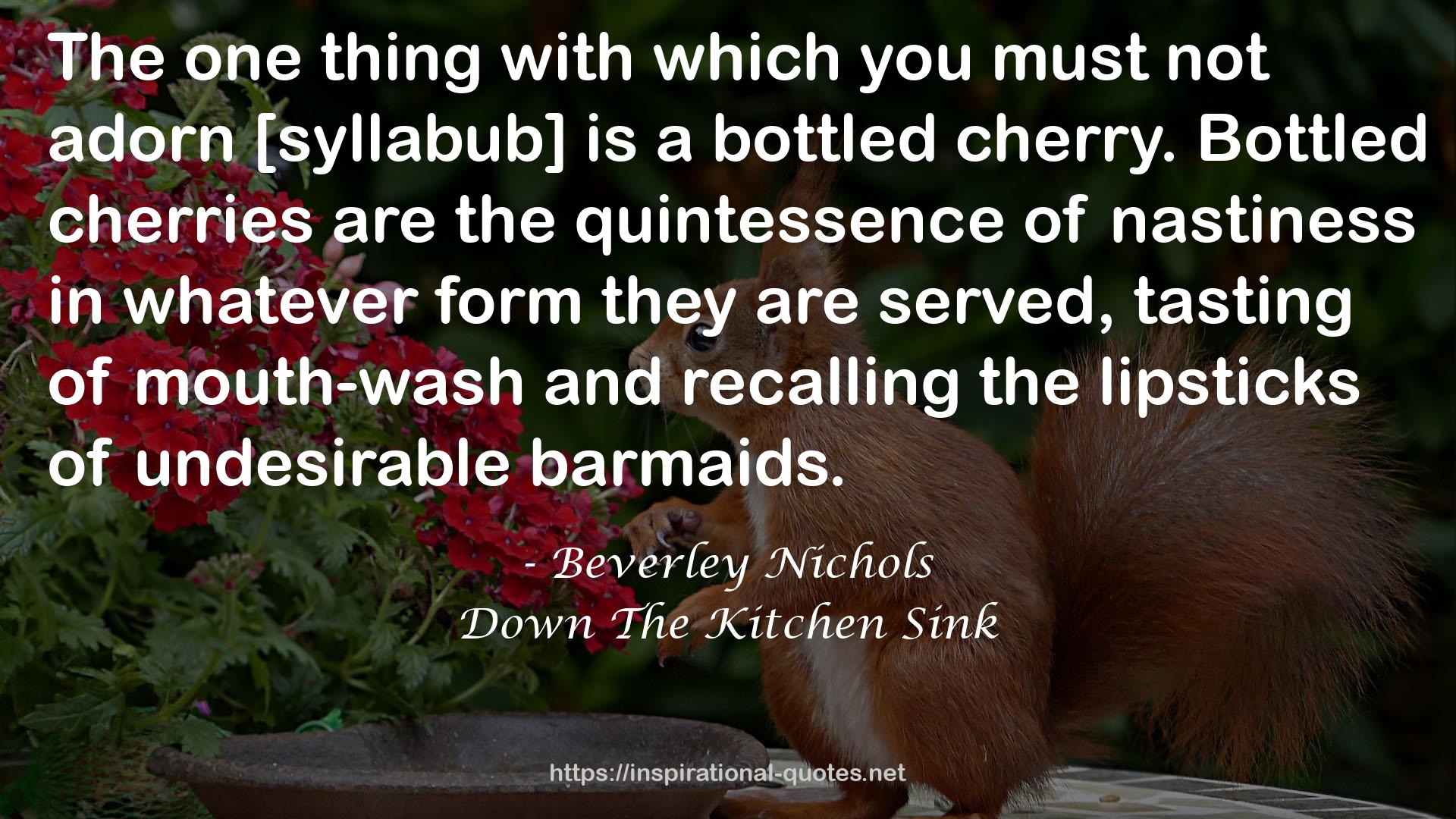 Down The Kitchen Sink QUOTES