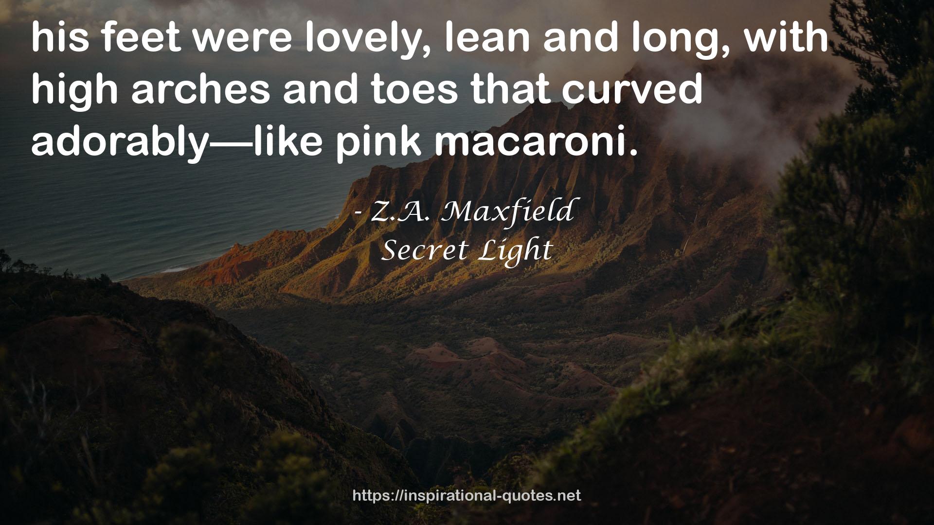 Z.A. Maxfield QUOTES