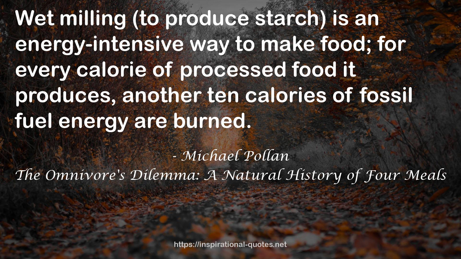 processed food  QUOTES