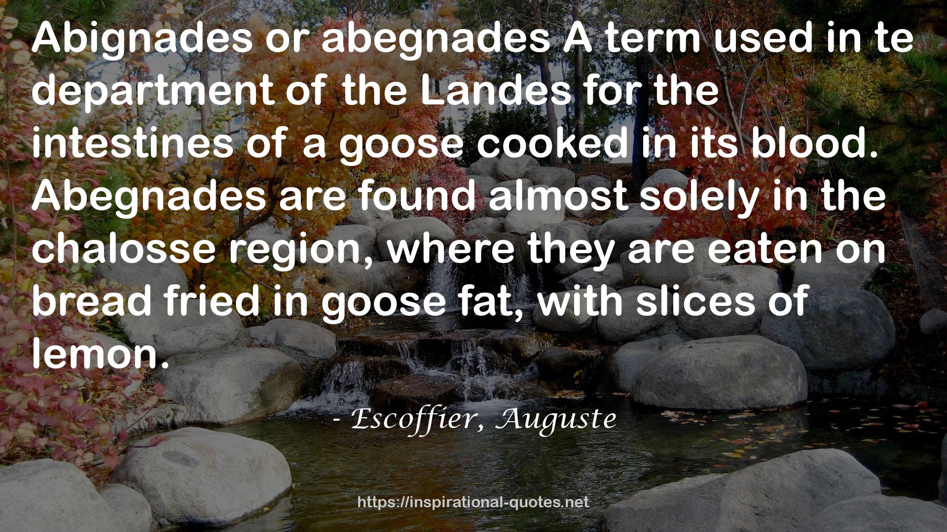 Escoffier, Auguste QUOTES