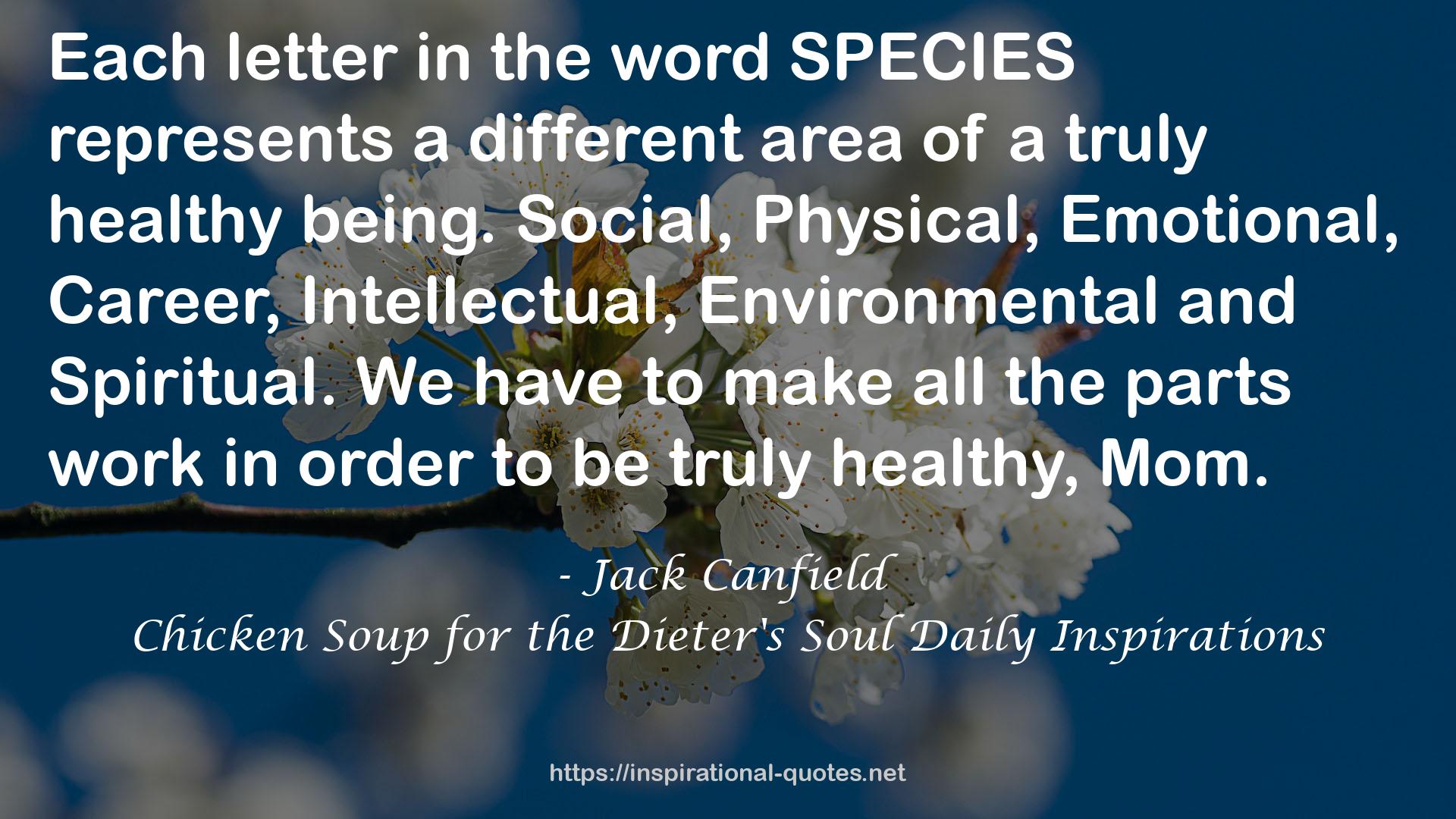 Chicken Soup for the Dieter's Soul Daily Inspirations QUOTES