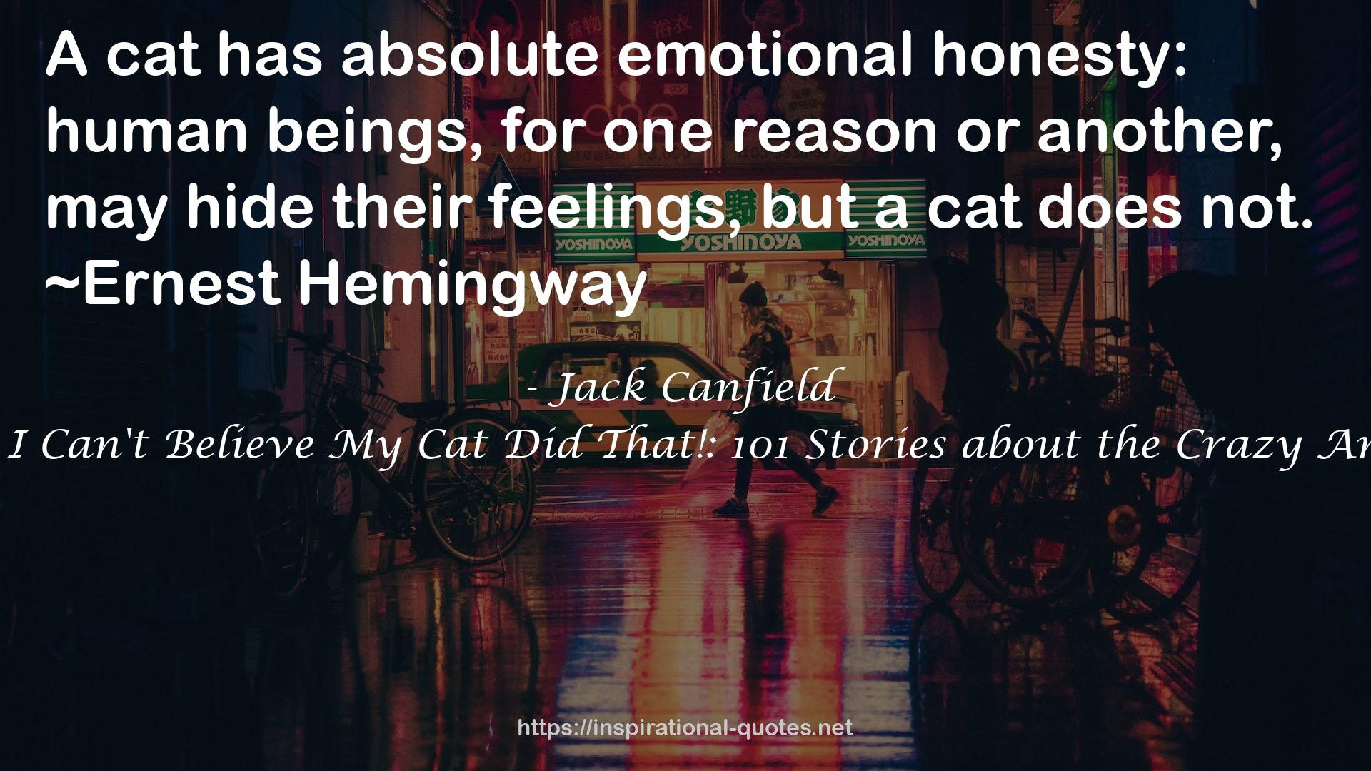 Chicken Soup for the Soul: I Can't Believe My Cat Did That!: 101 Stories about the Crazy Antics of Our Feline Friends QUOTES