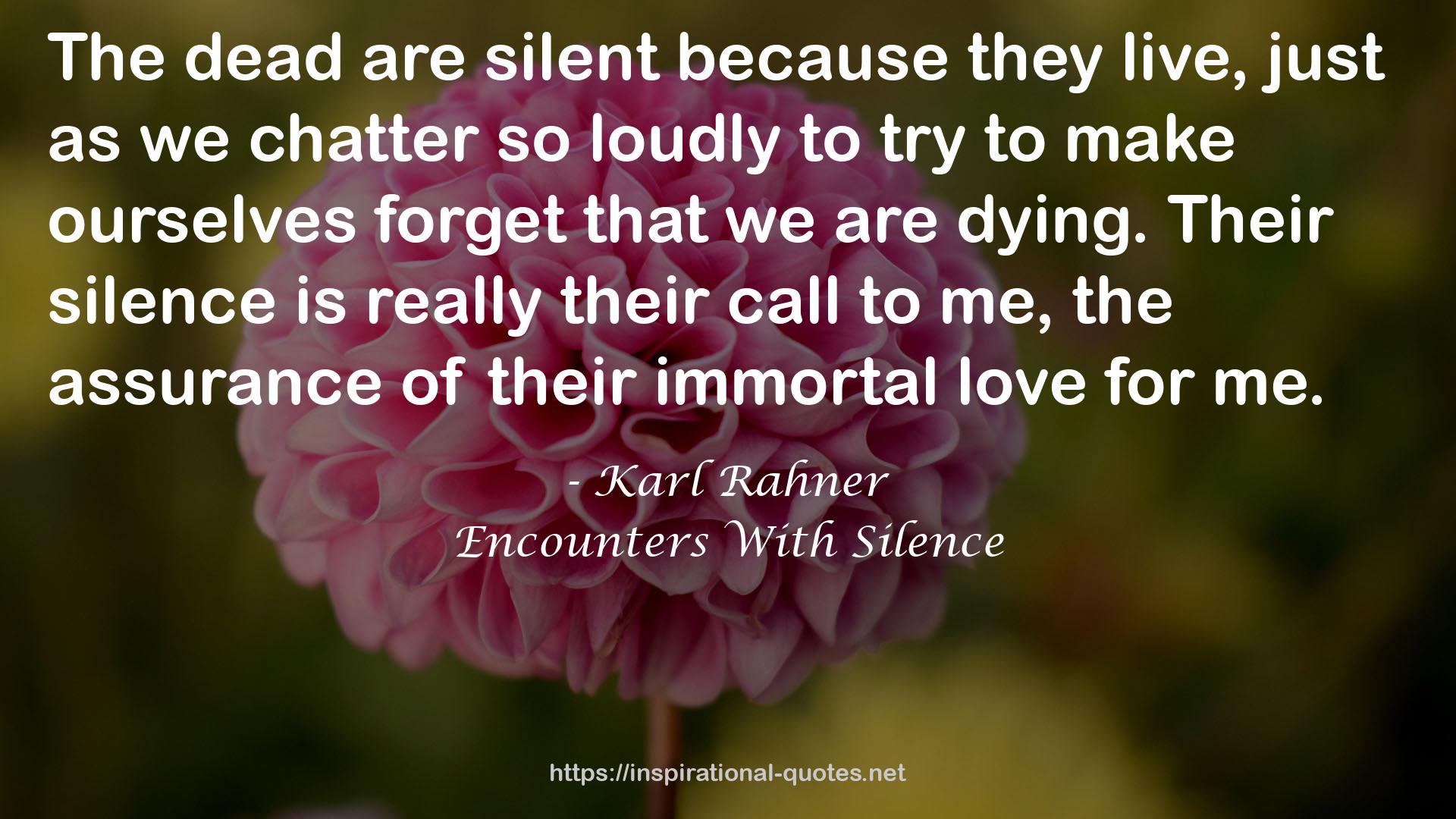 Encounters With Silence QUOTES