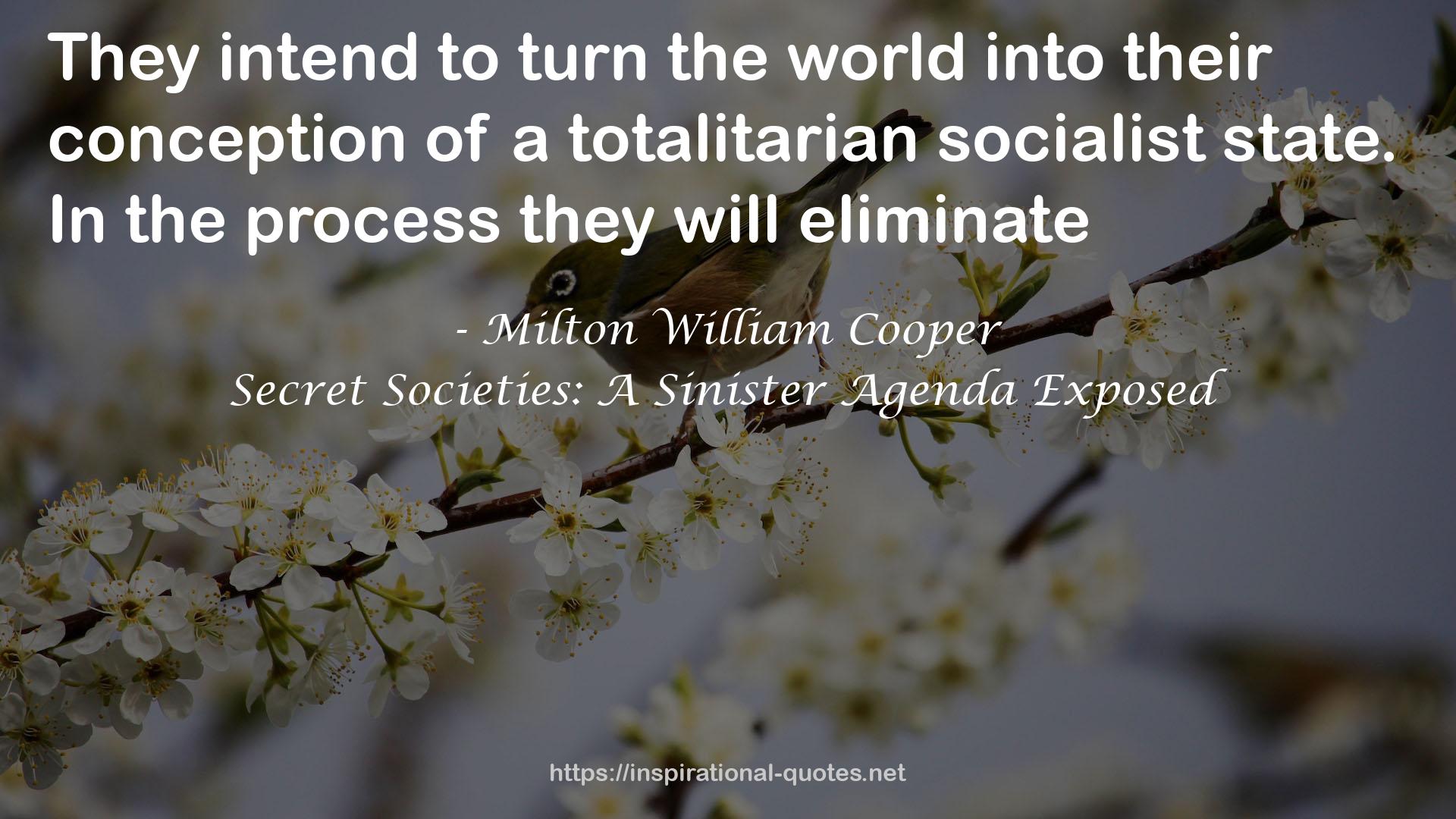 Secret Societies: A Sinister Agenda Exposed QUOTES