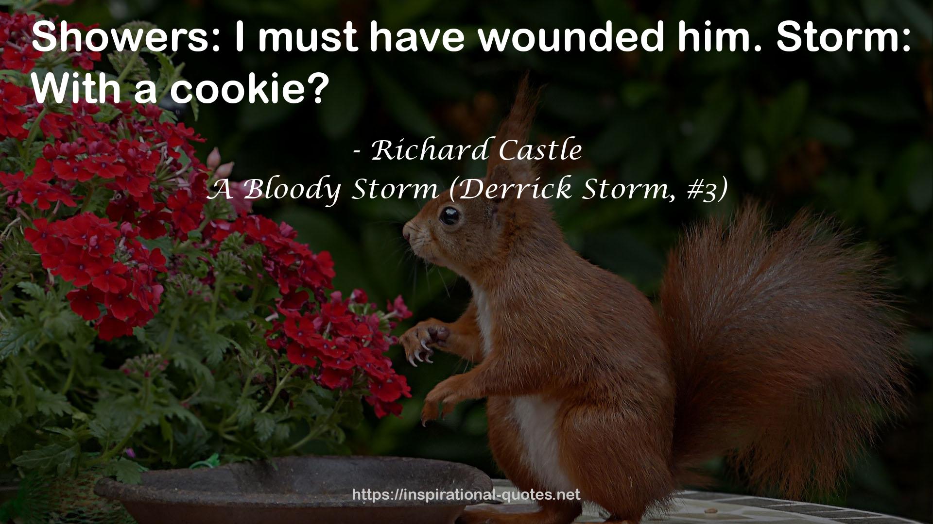 A Bloody Storm (Derrick Storm, #3) QUOTES