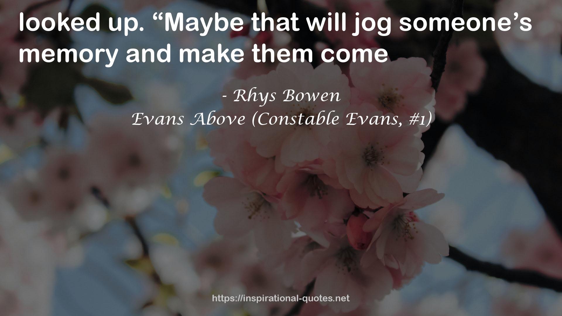 Evans Above (Constable Evans, #1) QUOTES