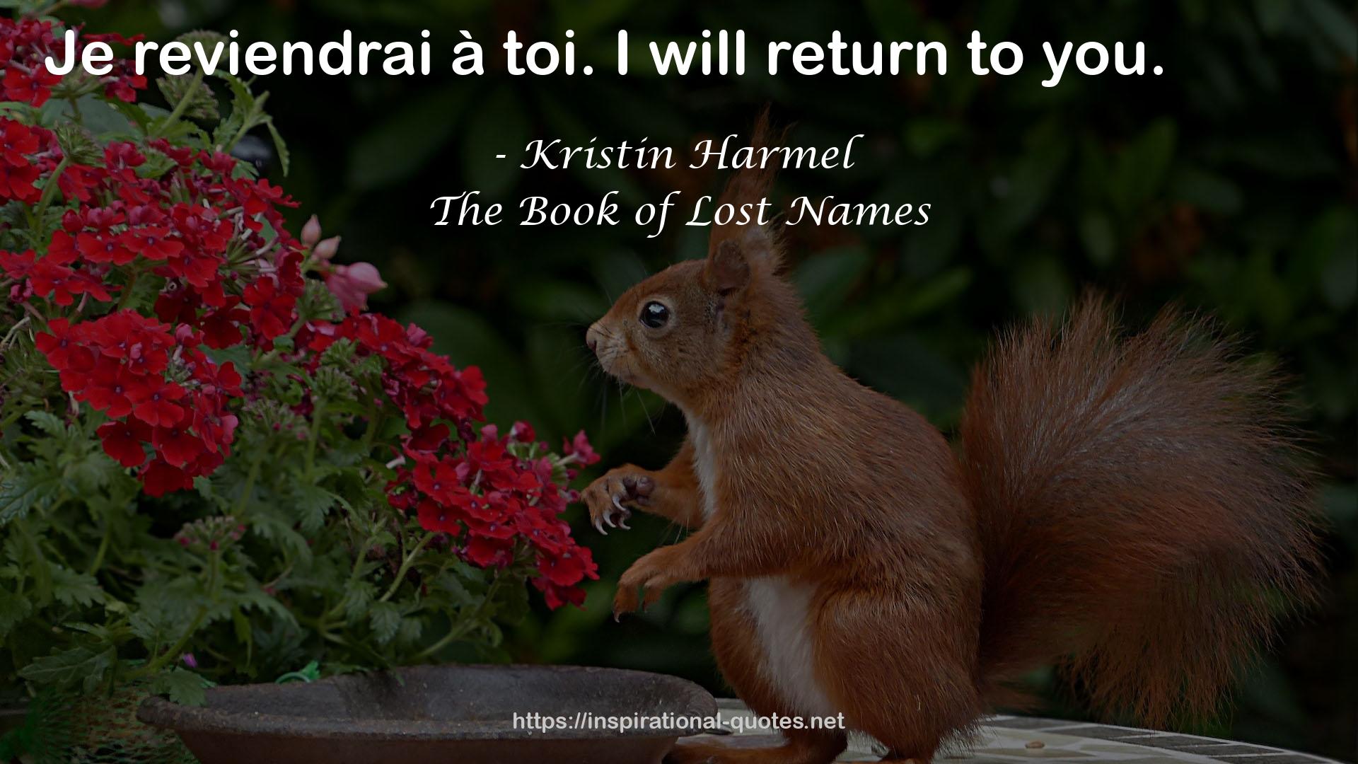 Kristin Harmel QUOTES