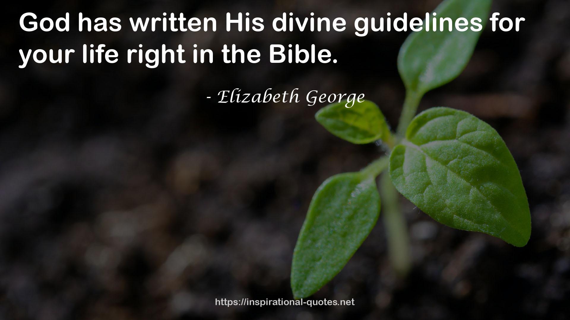 His divine guidelines  QUOTES