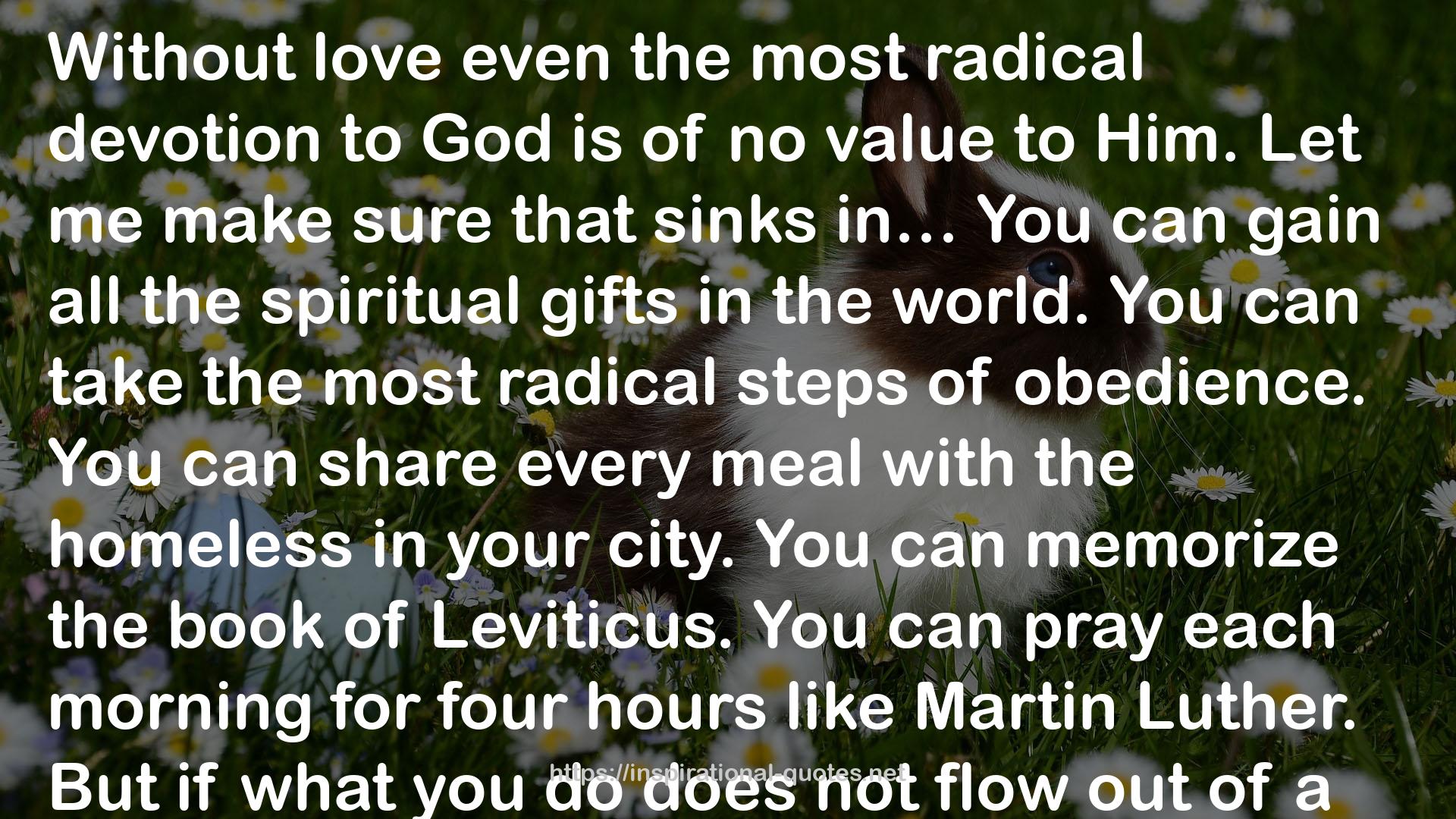 even the most radical devotion  QUOTES