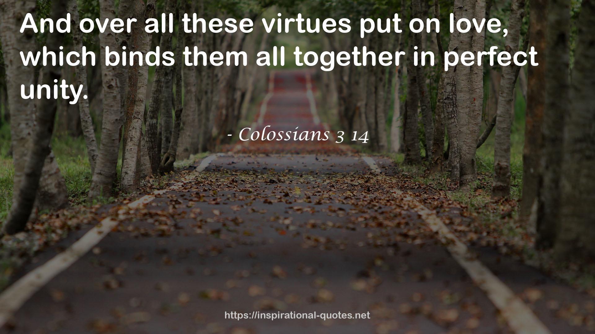 Colossians 3 14 QUOTES