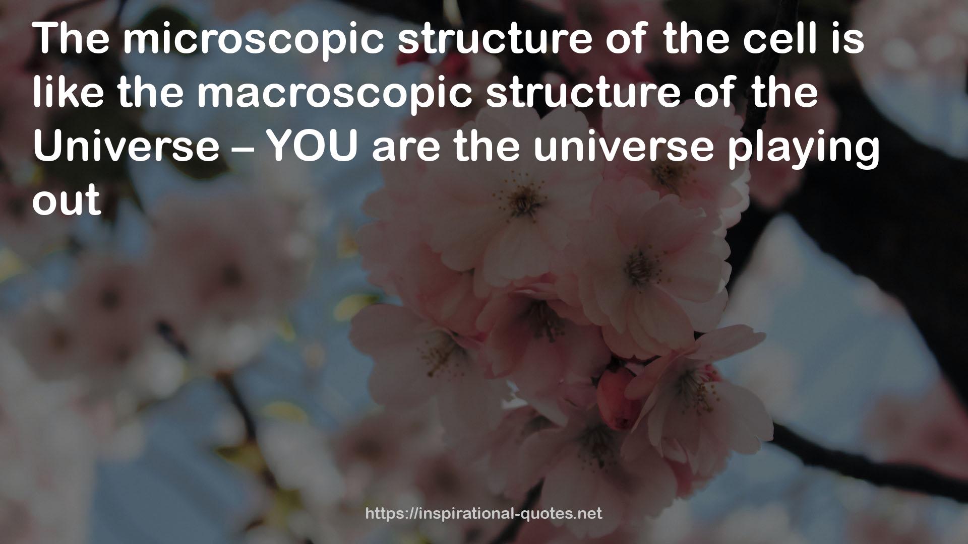 the macroscopic structure  QUOTES