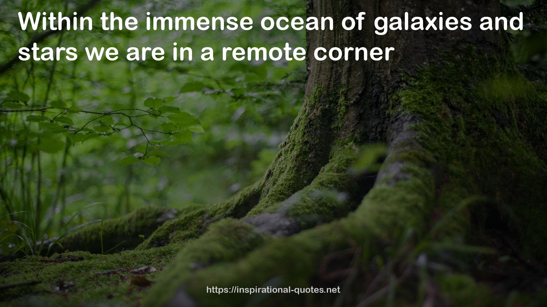 the immense ocean  QUOTES