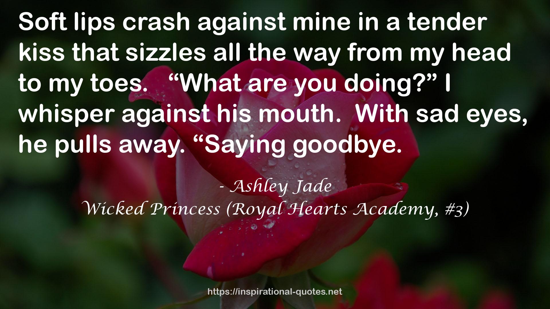 Wicked Princess (Royal Hearts Academy, #3) QUOTES