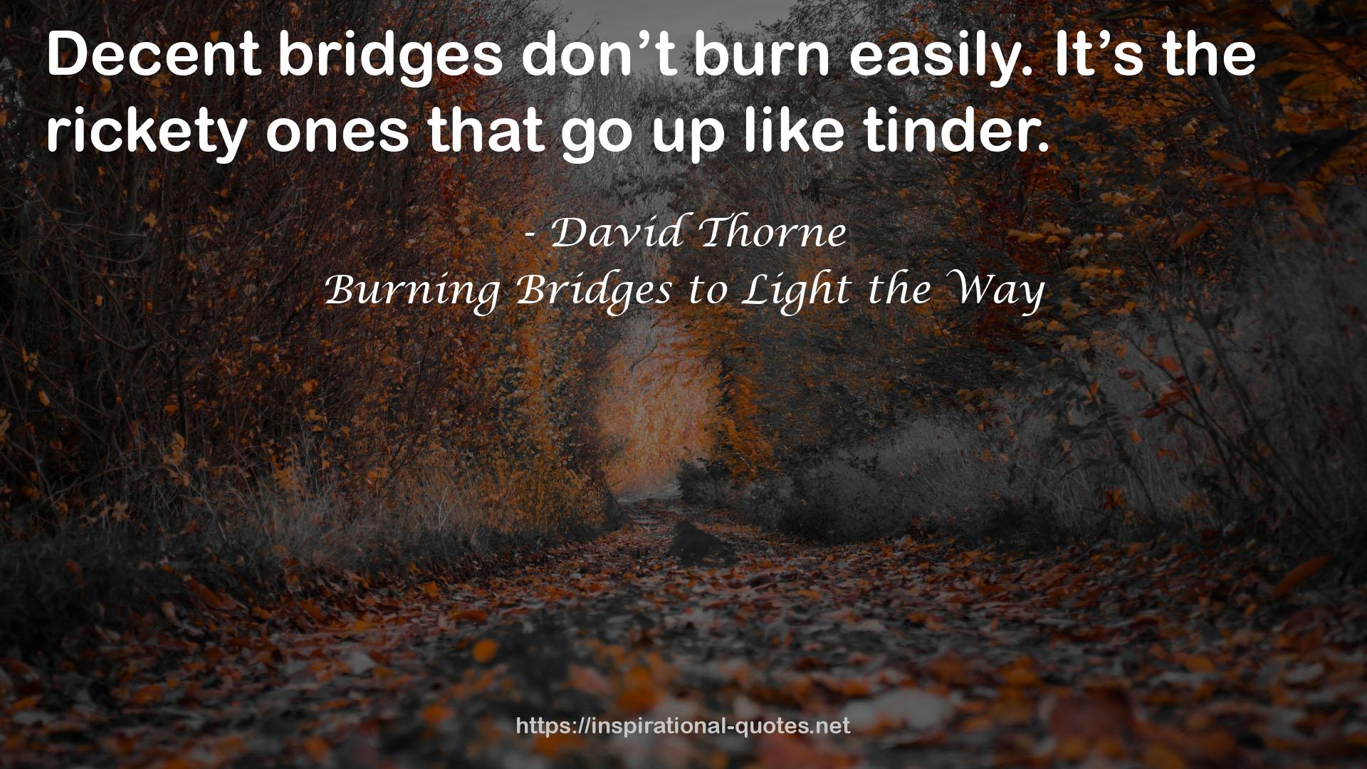 Burning Bridges to Light the Way QUOTES